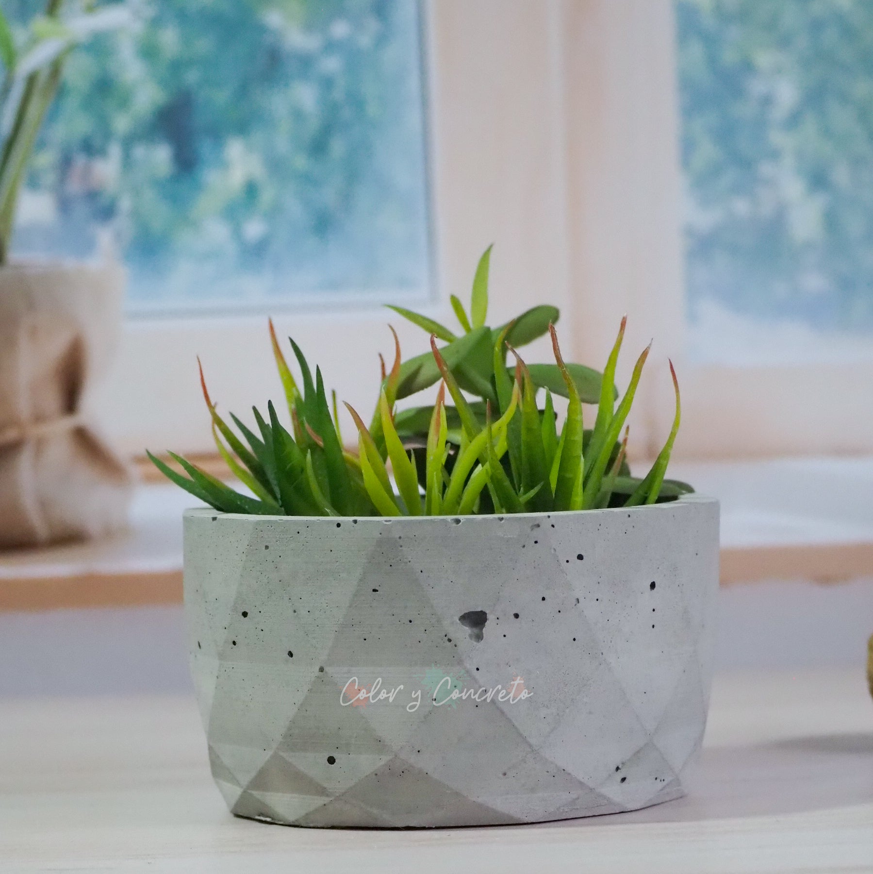 Bowl diamante