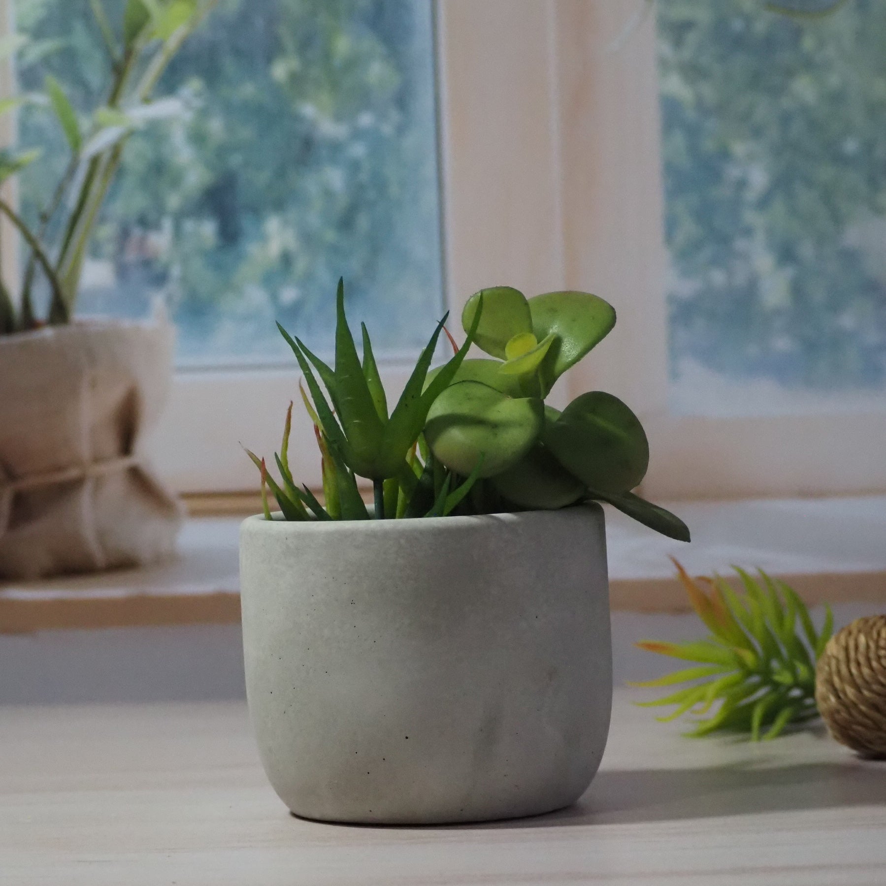 Mini Ollita