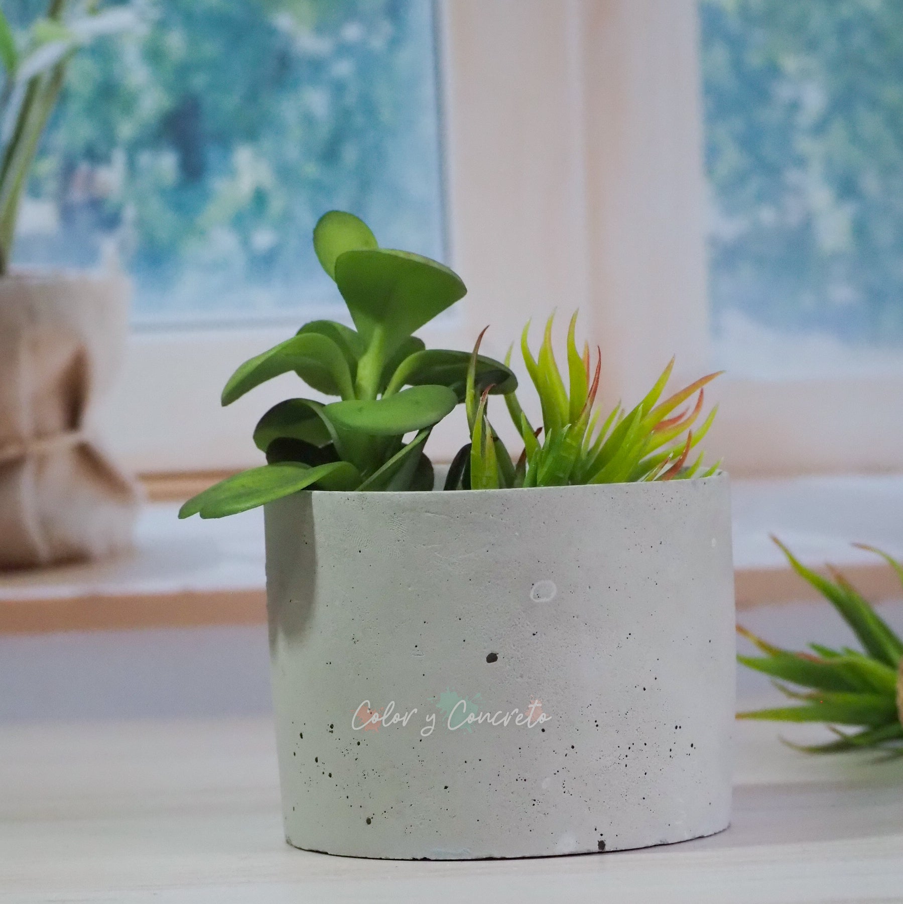 Alida - Cilindro 9.5