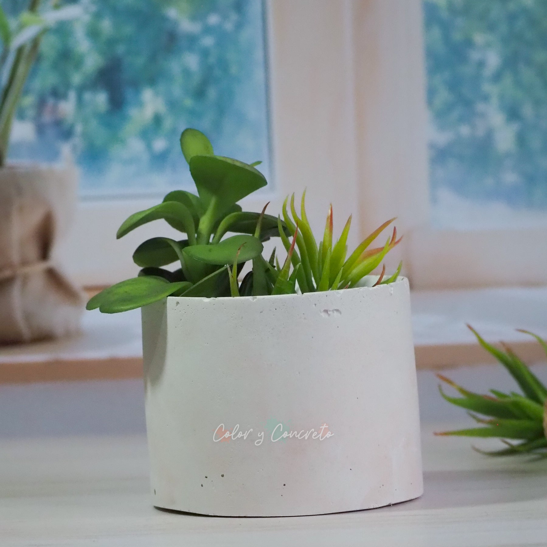 Alida - Cilindro 9.5