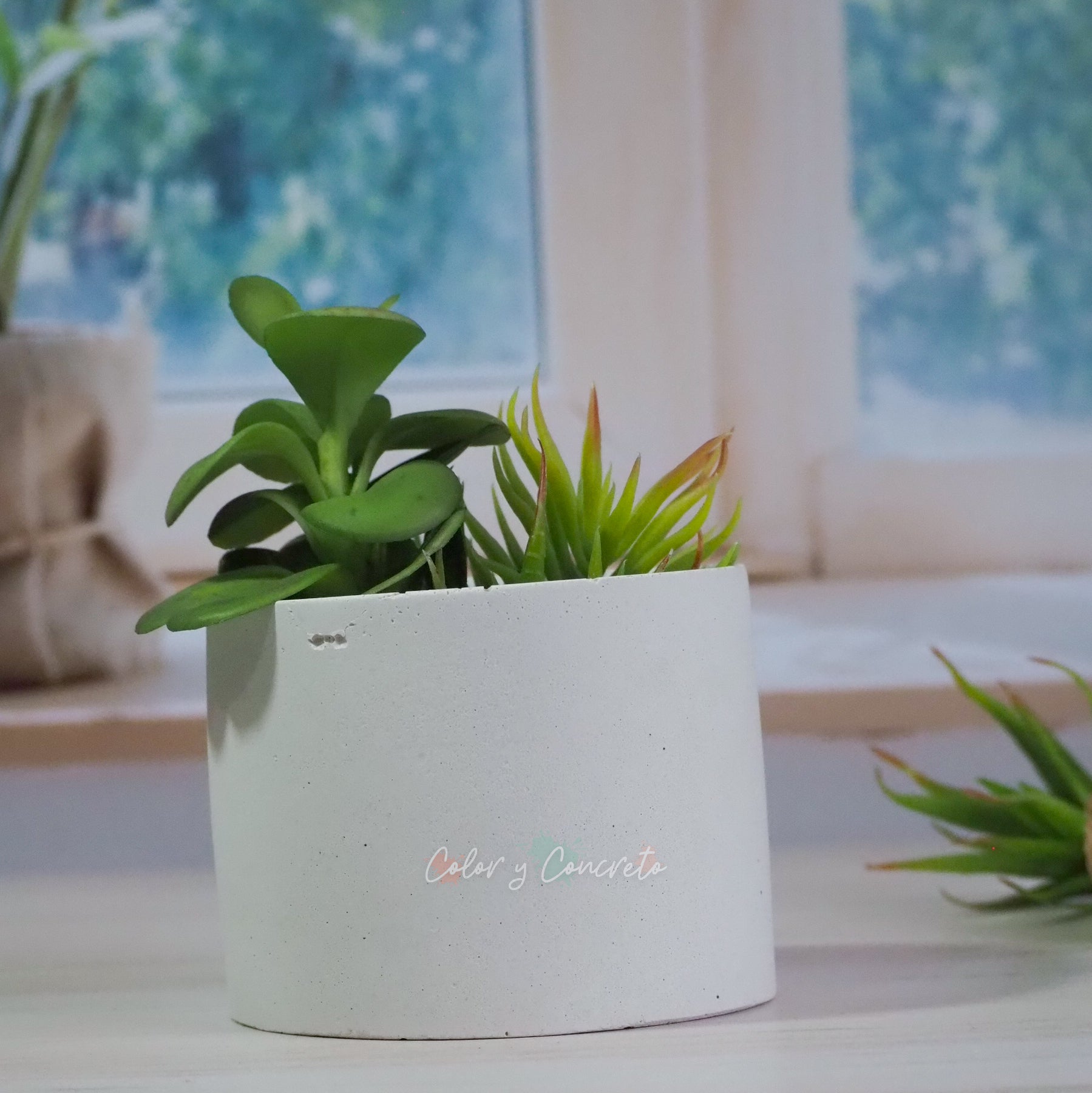 Alida - Cilindro 9.5