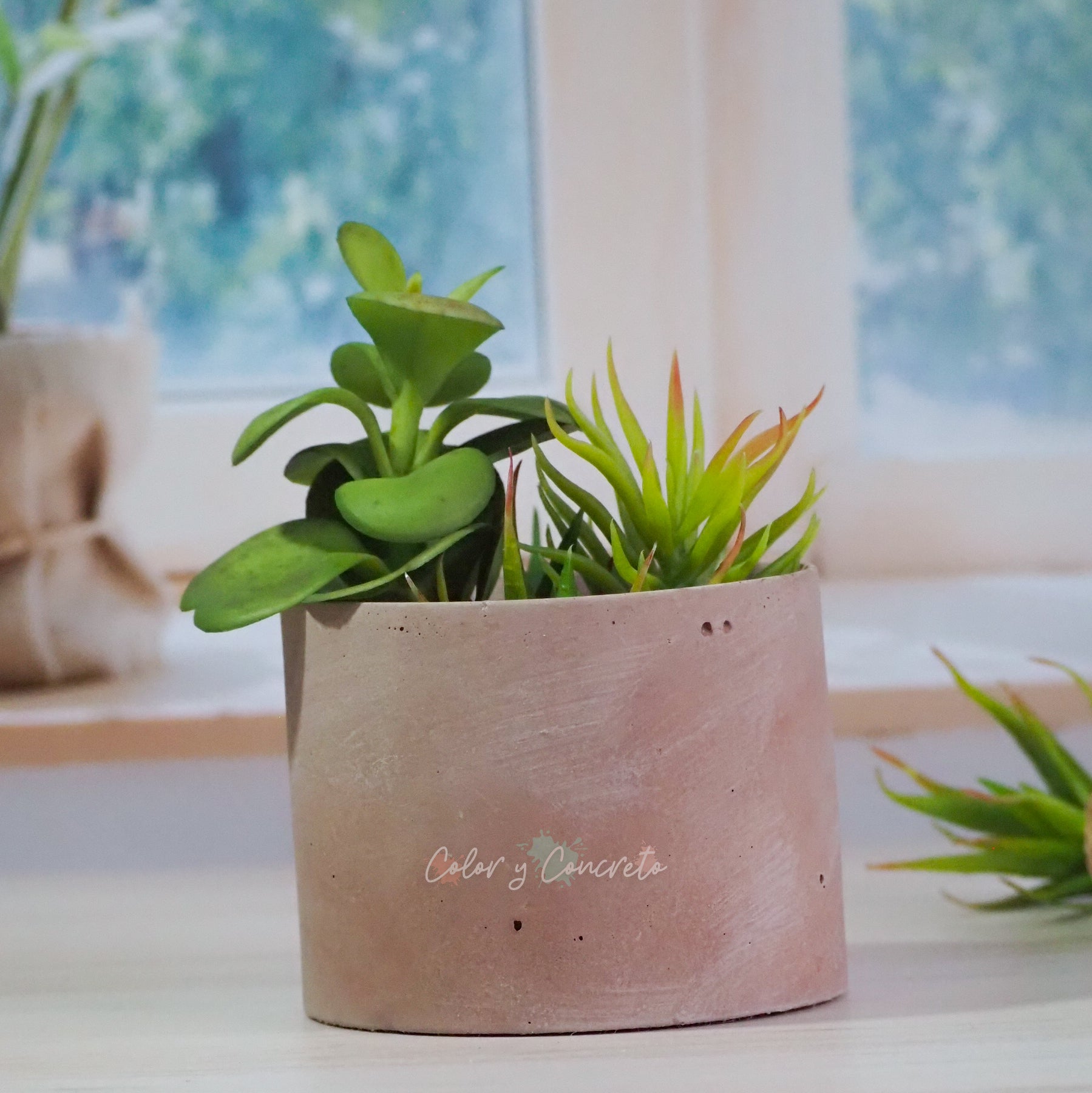 Alida - Cilindro 9.5