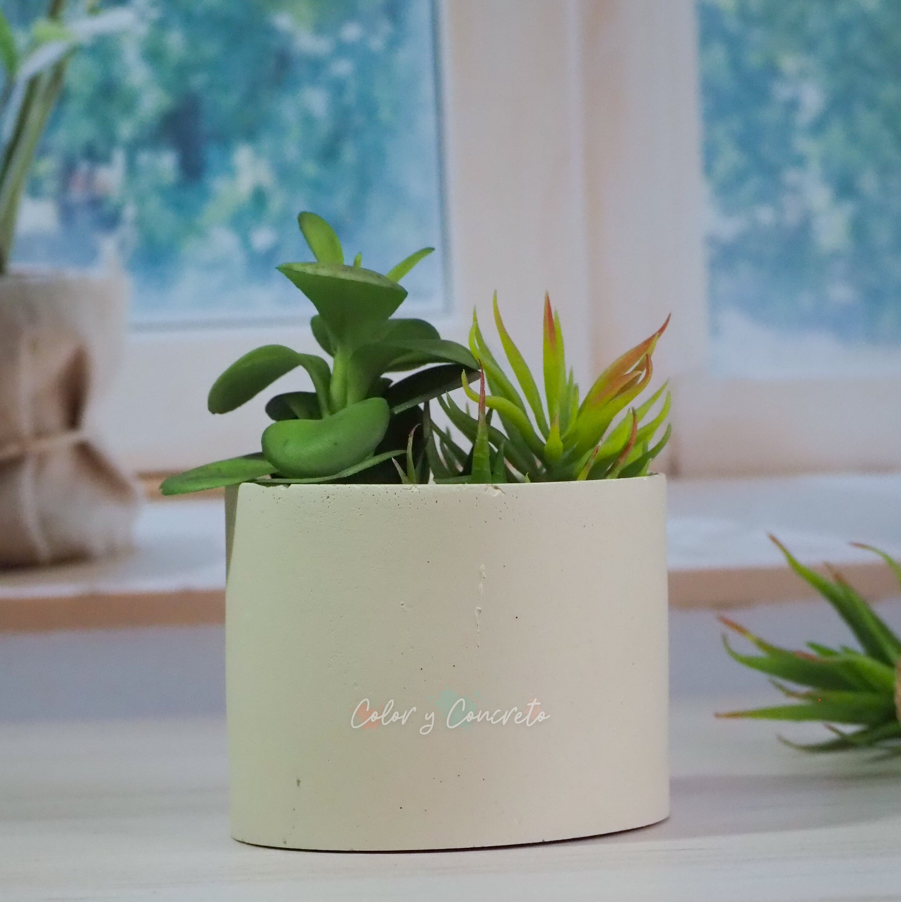 Alida - Cilindro 9.5