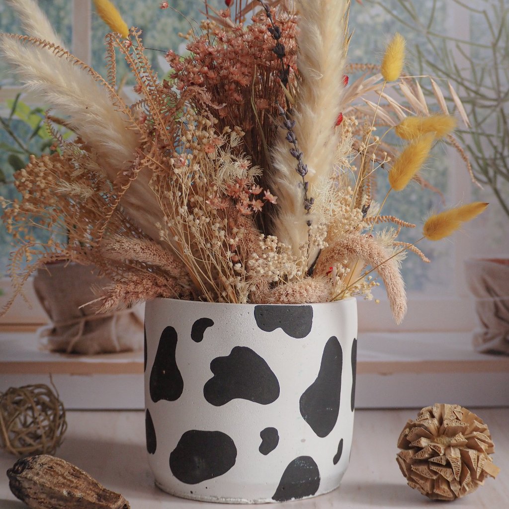 Cilindro Vaquita Lulá